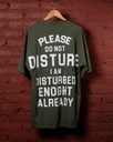 Remera Oversize Do Not Disturbe Verde